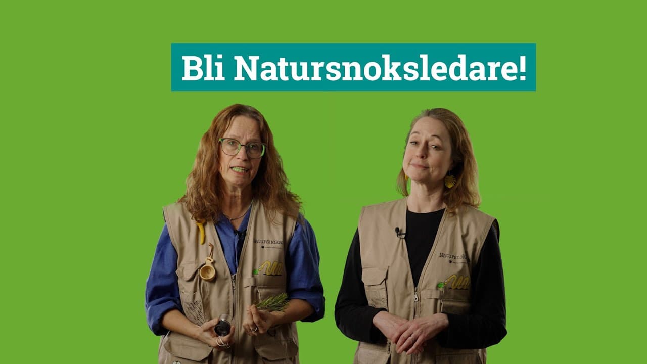 c9xLOnlixcY poster image